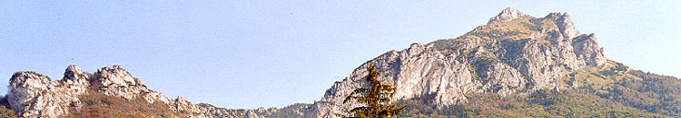 Banner - Chalupa MiMa