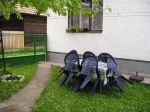 Posedenie a ohnisko na dvore